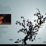 The outside of a trifold brochure for Black Turtle Acupuncture in Sugar Land, TX