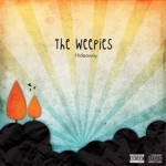 The Weepies CD redesign