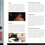 The inside of a trifold brochure with the cover folded on the right.