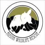 Austin Wildlife Rescue logo redesign